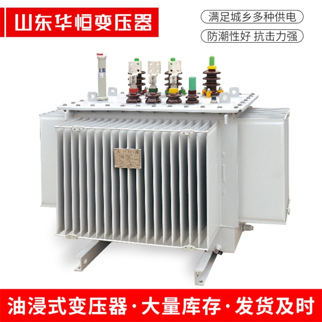 S13-10000/35高要高要高要电力变压器